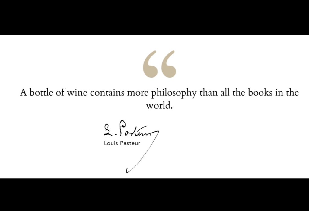 New article on Merlot in&nbsp;Virginia🍇🍇🍇🍇🍇🍇