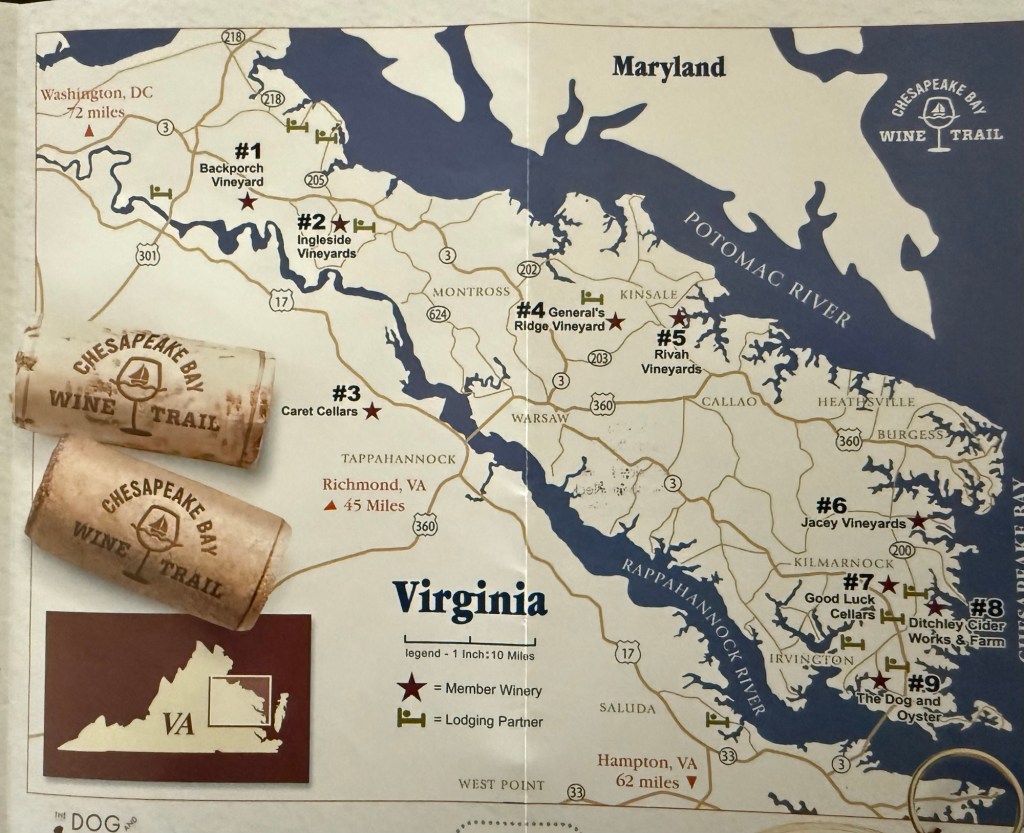 Check Out My&nbsp;Article!